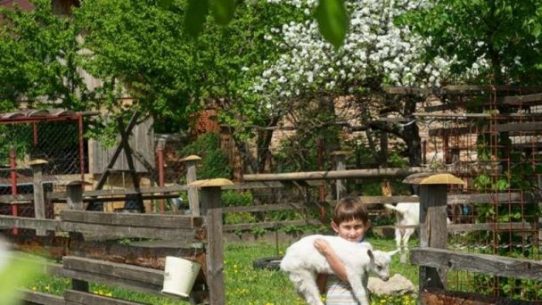 Penzión Tóth Moravany nad Váhom 11 Penzión Tóth Moravany nad Váhom 11