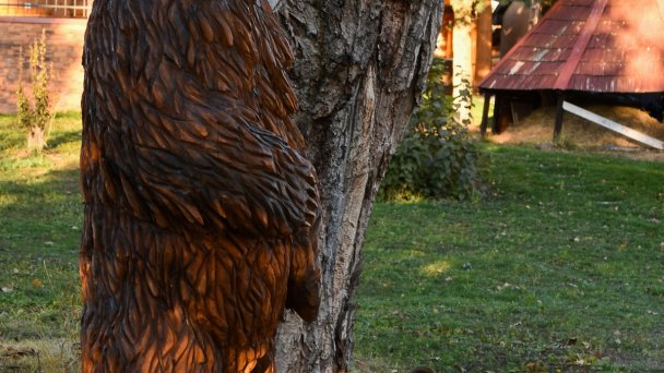 Zrub Živa Krupina 57 Zrub Živa Krupina 57