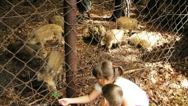 Chata Kováčová Turová 9 Chata Kováčová Turová 9