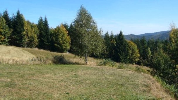 Drevenica Koliba Drábsko 39 Drevenica Koliba Drábsko 39