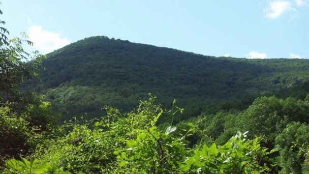 Záruby Resort Smolenice 8