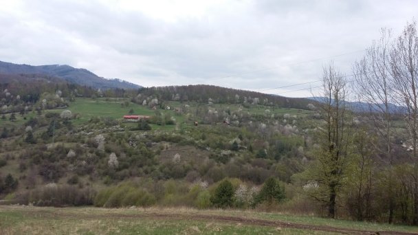 Chata Adamovka Hrabičov 24 Chata Adamovka Hrabičov 24