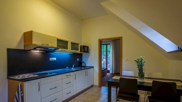 Apartmány Weissov dom Hodruša - Hámre 12