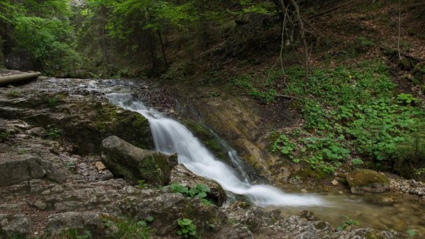 Penzión Alžbetka Strečno 21