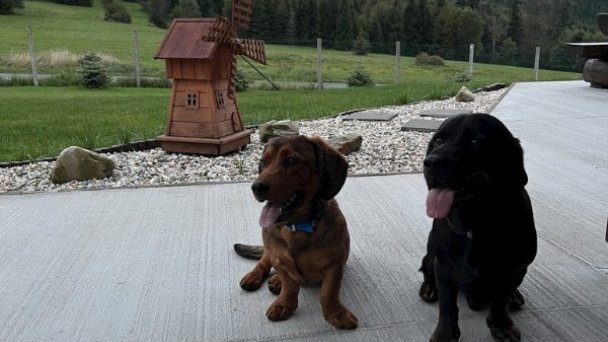 Chalety Vreščovské Sedlo Skalité 44