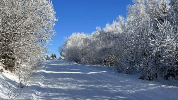 Chalety Vreščovské Sedlo Skalité 55