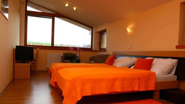 Vila Orchidea Rajecké Teplice 17