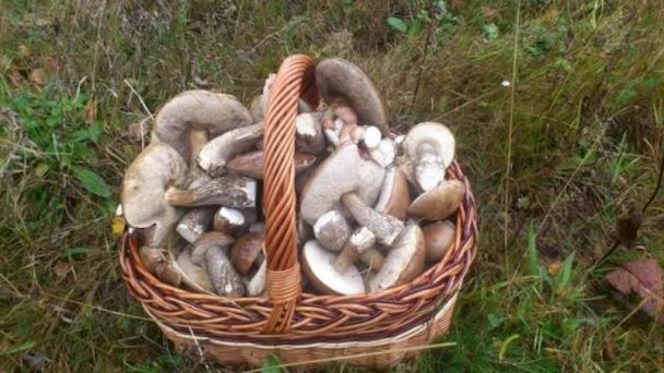 Chata pod Kykulou Oščadnica 11 Chata pod Kykulou Oščadnica 11
