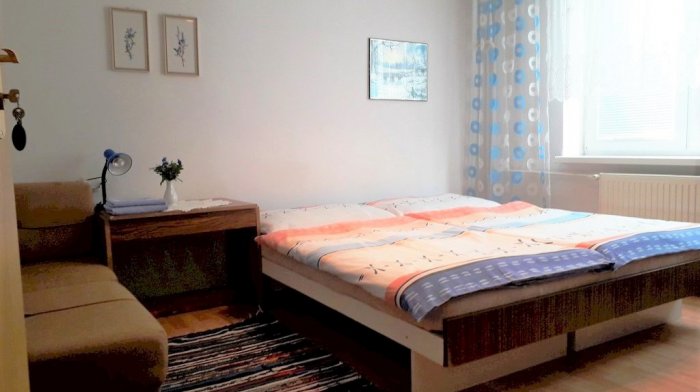 Dvojlôžková izba s manželskou posteľou (Dvojlôžková izba)