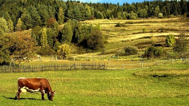 Zrub Goral Oščadnica 14 Zrub Goral Oščadnica 14