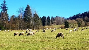 Chata pri Veľkej Rači Oščadnica 4