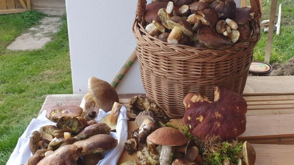 Chata pod Jedľou Olešná 30 Chata pod Jedľou Olešná 30