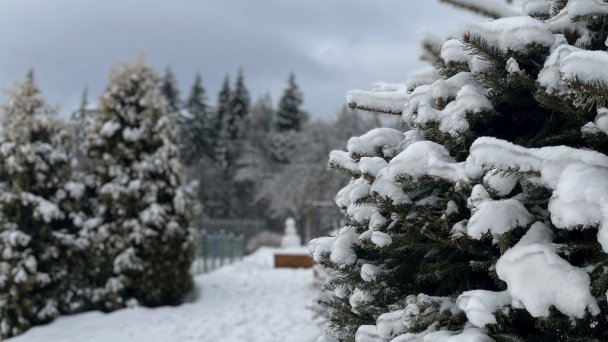 Chata pod Jedľou Olešná 16 Chata pod Jedľou Olešná 16