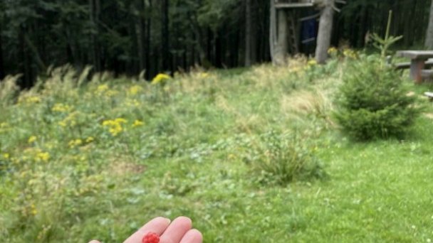Chata u Dina Martinské hole 10