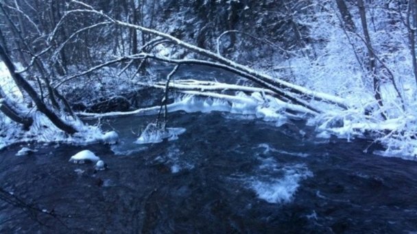 Chata Šafran Jánska Dolina Liptovský Ján 17