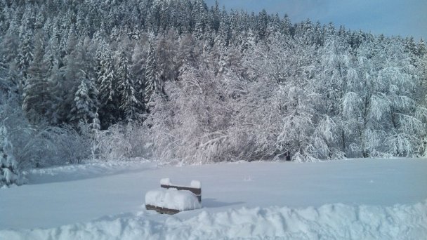 Pri minerálnom prameni Liptovský Ján 66 Pri minerálnom prameni Liptovský Ján 66