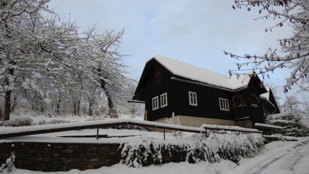 Drevenice Živčáková Korňa 47 Drevenice Živčáková Korňa 47