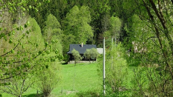 Drevenice Živčáková Korňa 11 Drevenice Živčáková Korňa 11