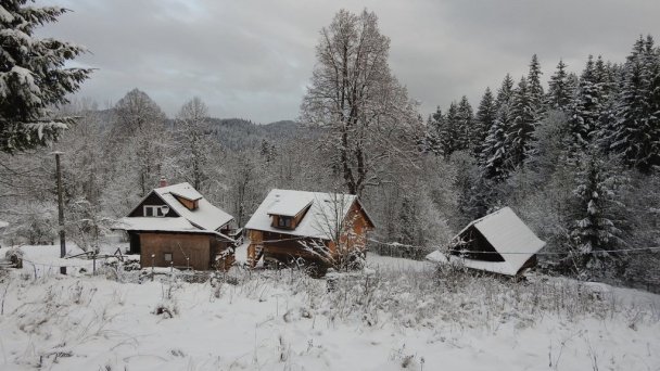 Drevenice Živčáková Korňa 21 Drevenice Živčáková Korňa 21