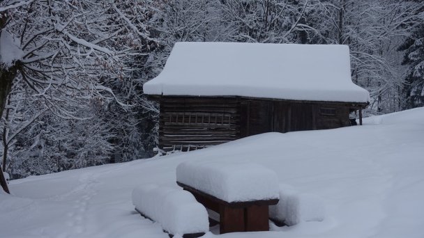 Drevenice Živčáková Korňa 23 Drevenice Živčáková Korňa 23