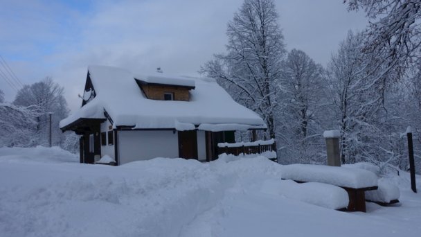 Drevenice Živčáková Korňa 25 Drevenice Živčáková Korňa 25