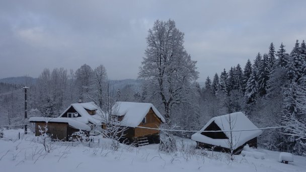 Drevenice Živčáková Korňa 28 Drevenice Živčáková Korňa 28
