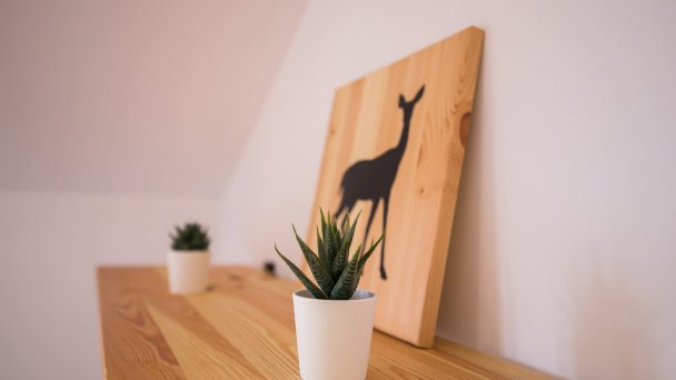 Chata Tatranský Medveď Demänovská Dolina 89 Chata Tatranský Medveď Demänovská Dolina 89