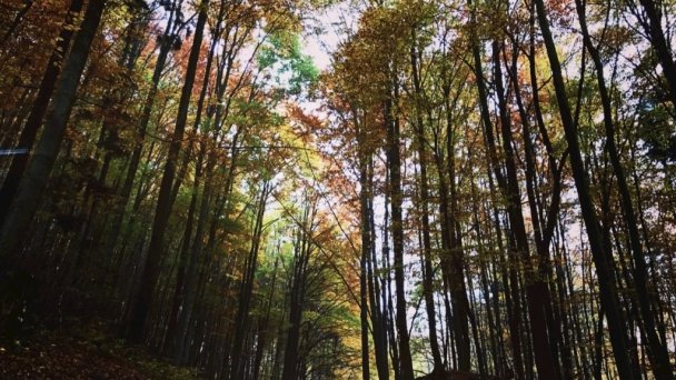 Ubytovanie Koliba Sklené Teplice 21