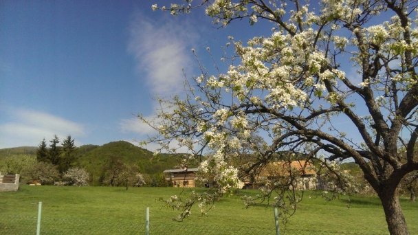 Chata Kašná hôrka (pôvodne Chata Tajch) Nová Baňa 16 Chata Kašná hôrka (pôvodne Chata Tajch) Nová Baňa 16