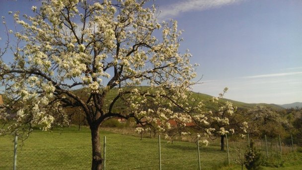 Chata Kašná hôrka (pôvodne Chata Tajch) Nová Baňa 17 Chata Kašná hôrka (pôvodne Chata Tajch) Nová Baňa 17