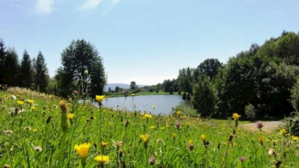 Chata Kašná hôrka (pôvodne Chata Tajch) Nová Baňa 25 Chata Kašná hôrka (pôvodne Chata Tajch) Nová Baňa 25