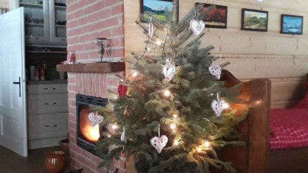 Drevenica Jelenec Staré Hory 11