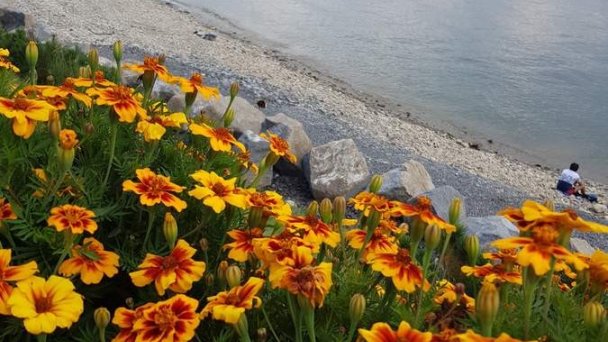 Drevenica Marka Liptovský Trnovec 54