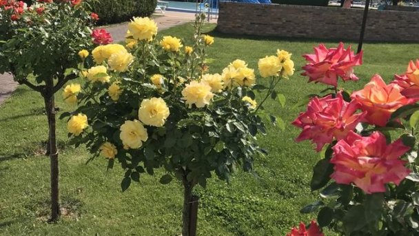 Ubytovňa Termal Dunajská Streda 20