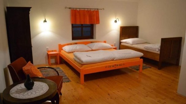Villa Filia Okoč 47
