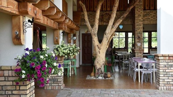 Villa Filia Okoč 6