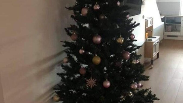 U babky Piešťany 12 U babky Piešťany 12