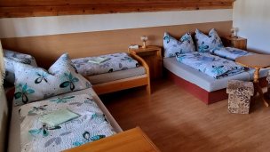 Vila Danka Veľký Meder 3