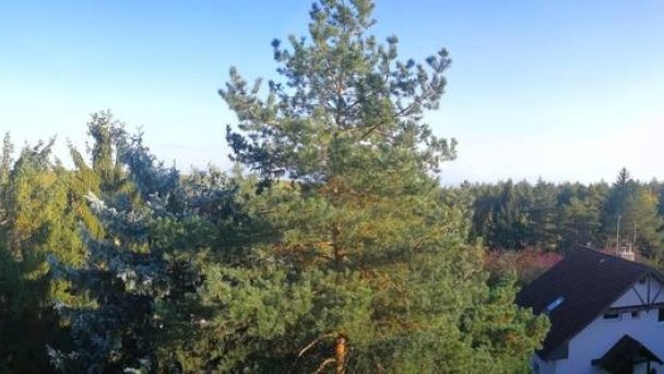 Chata U Sovy Prašice Duchonka 29 Chata U Sovy Prašice Duchonka 29