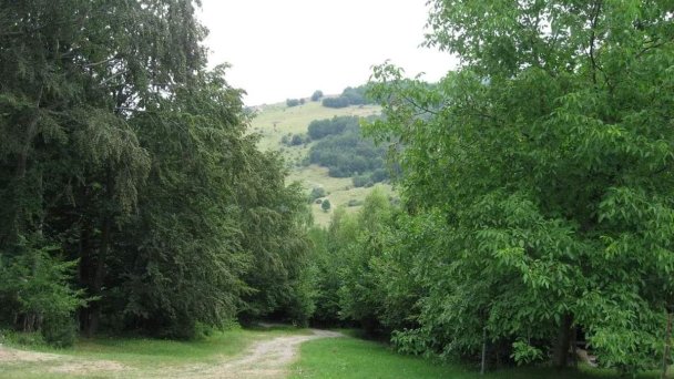 Chata Sekaniny Lehota pod Vtáčnikom 5 Chata Sekaniny Lehota pod Vtáčnikom 5