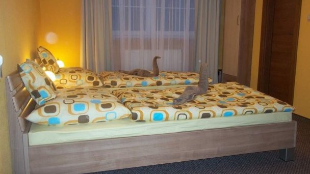 Penzión Kastelán Bojnice 51