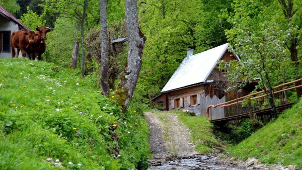 Chata Včelín a Vyhňa Nová Bystrica 8