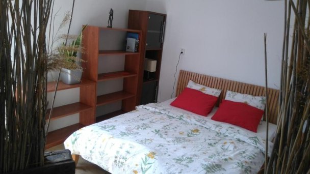 Rastlinky.sk Greenhouse Guestrooms Bratislava Ružinov 29 Rastlinky.sk Greenhouse Guestrooms Bratislava Ružinov 29