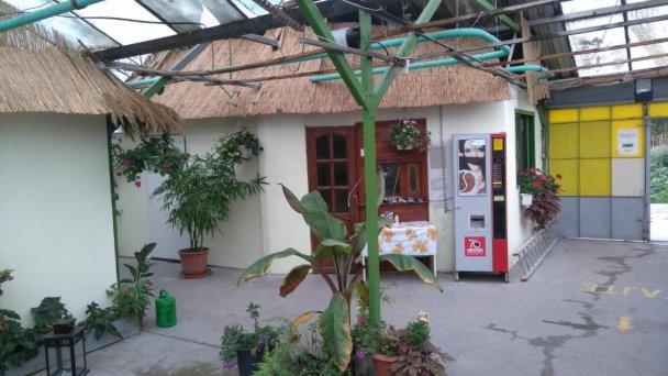 Rastlinky.sk Greenhouse Guestrooms Bratislava Ružinov 31 Rastlinky.sk Greenhouse Guestrooms Bratislava Ružinov 31