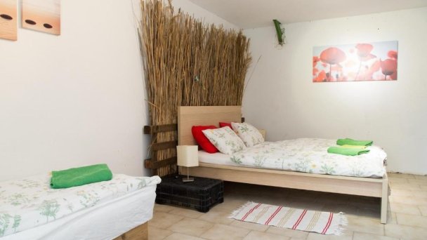 Rastlinky.sk Greenhouse Guestrooms Bratislava Ružinov 33 Rastlinky.sk Greenhouse Guestrooms Bratislava Ružinov 33