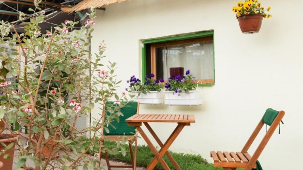 Rastlinky.sk Greenhouse Guestrooms Bratislava Ružinov 38 Rastlinky.sk Greenhouse Guestrooms Bratislava Ružinov 38