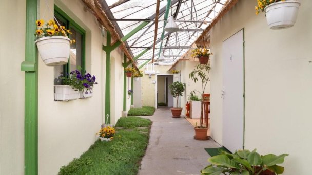 Rastlinky.sk Greenhouse Guestrooms Bratislava Ružinov 7 Rastlinky.sk Greenhouse Guestrooms Bratislava Ružinov 7