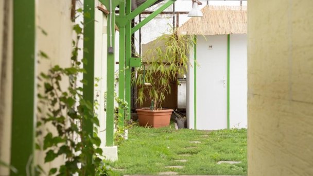 Rastlinky.sk Greenhouse Guestrooms Bratislava Ružinov 40 Rastlinky.sk Greenhouse Guestrooms Bratislava Ružinov 40
