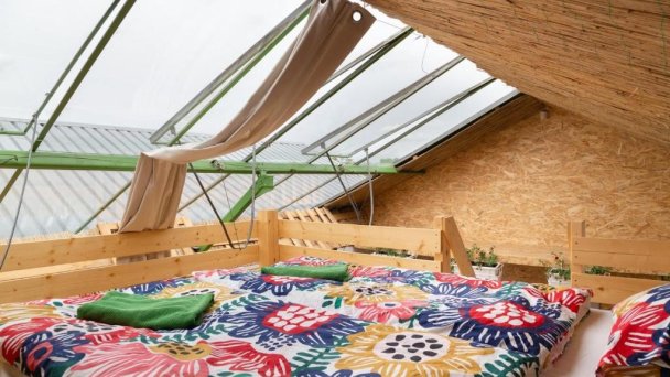 Rastlinky.sk Greenhouse Guestrooms Bratislava Ružinov 43 Rastlinky.sk Greenhouse Guestrooms Bratislava Ružinov 43