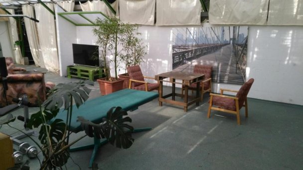 Rastlinky.sk Greenhouse Guestrooms Bratislava Ružinov 19 Rastlinky.sk Greenhouse Guestrooms Bratislava Ružinov 19